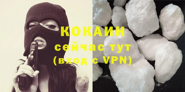 индика Мегион
