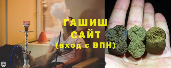 индика Мегион