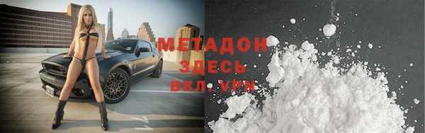 индика Медвежьегорск
