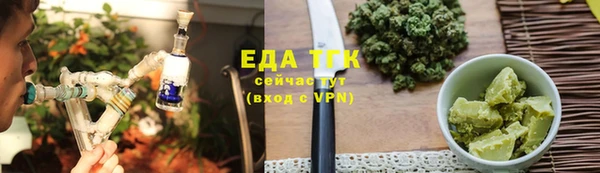 индика Мегион