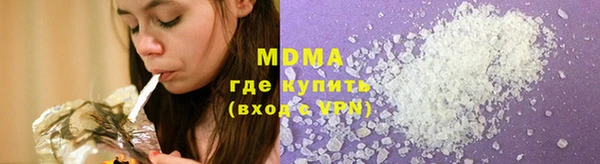 индика Медвежьегорск