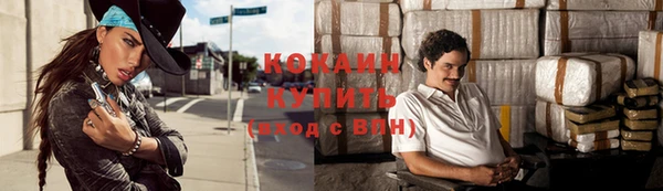 индика Мегион
