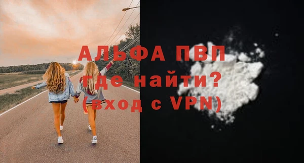 индика Медвежьегорск