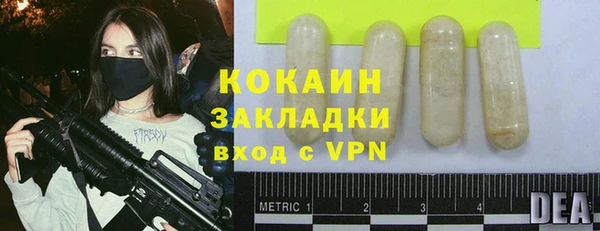 индика Медвежьегорск