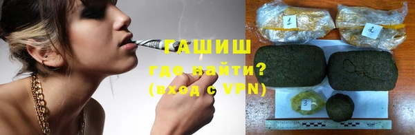 индика Медвежьегорск