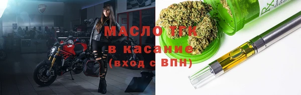 индика Медвежьегорск