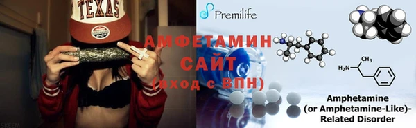 прущие грибы Медногорск