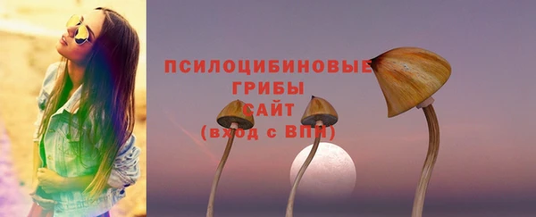 прущие грибы Медногорск