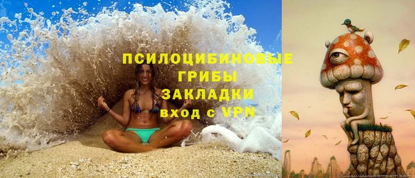 индика Медвежьегорск