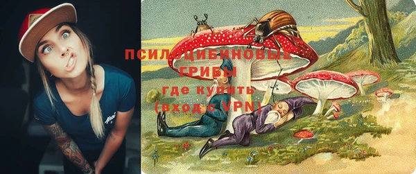 индика Мегион