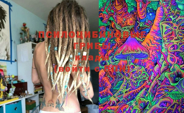 индика Мегион