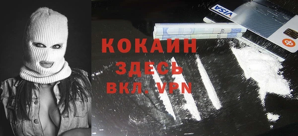 индика Мегион