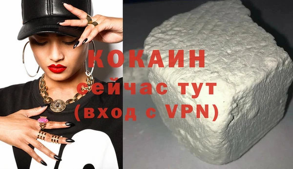 индика Мегион