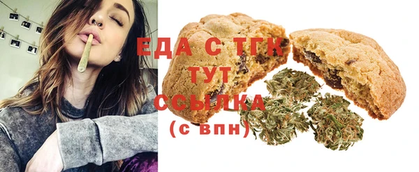 индика Мегион