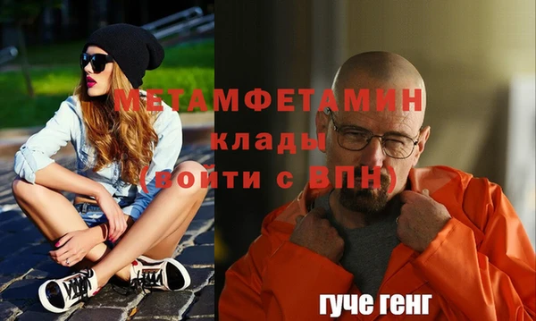 прущие грибы Медногорск