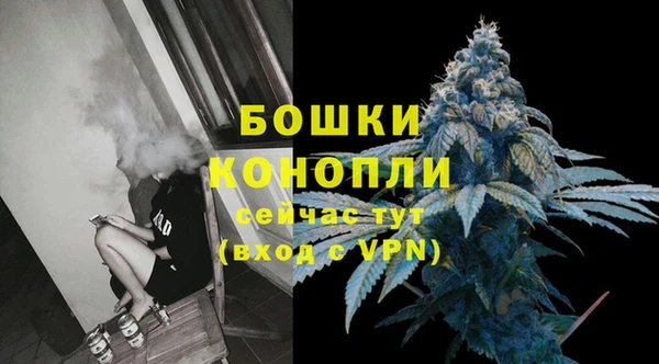 индика Мегион
