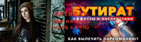 индика Медвежьегорск