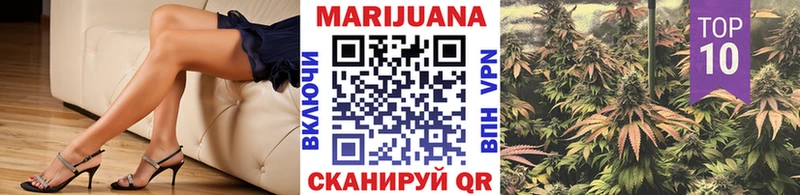 Канабис MAZAR  Лодейное Поле 