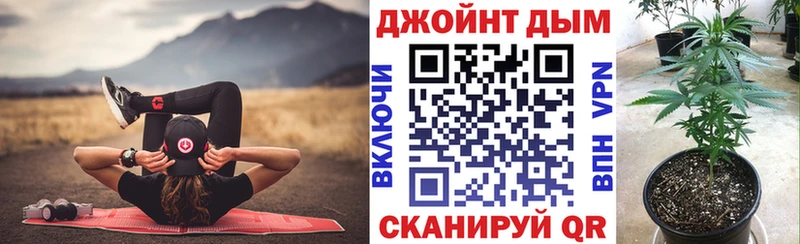 Канабис конопля Лодейное Поле